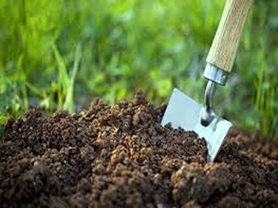 تصویر 2 از فروش کود بیولوژیک بایوفارم + قیمت خرید به صرفه